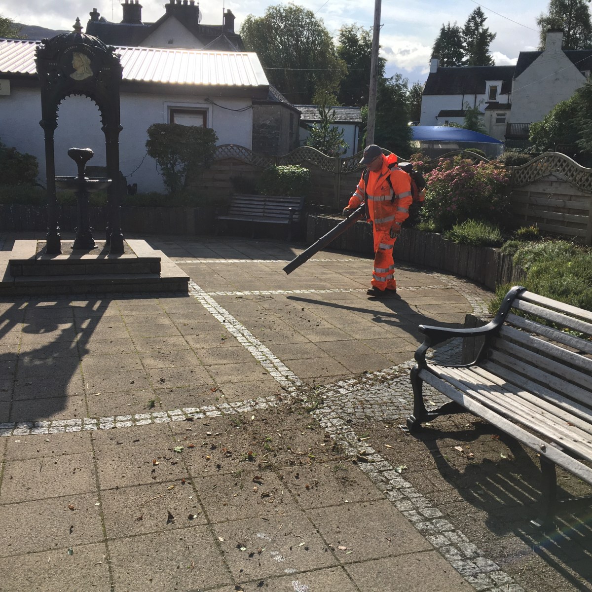 Mysterious Disappearing Litter