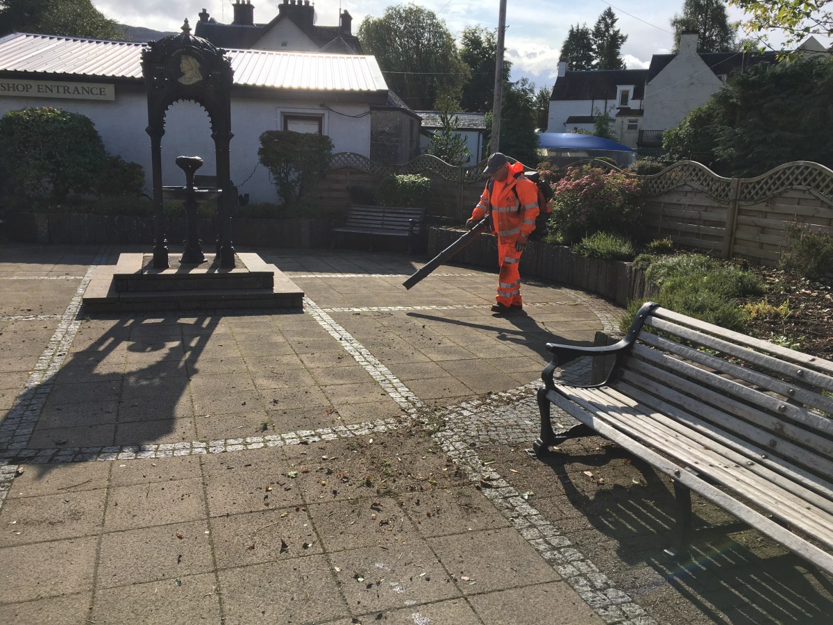 Mysterious Disappearing Litter